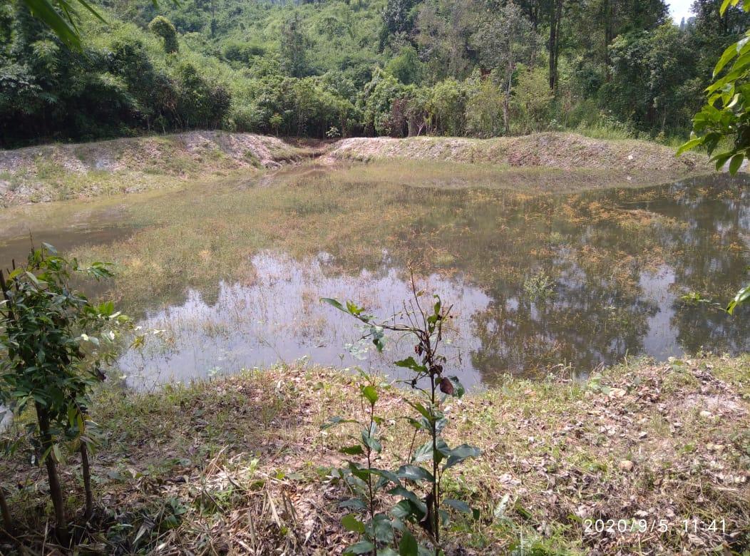 D:\CLLMP WORK\Format for Work\Intervention pictures\GEO TAGGING PICTURES\JIRANG BLOCK\Sohkyrbam Rim\WhatsApp Image 2022-11-19 at 11.29.55 PM (1).jpeg